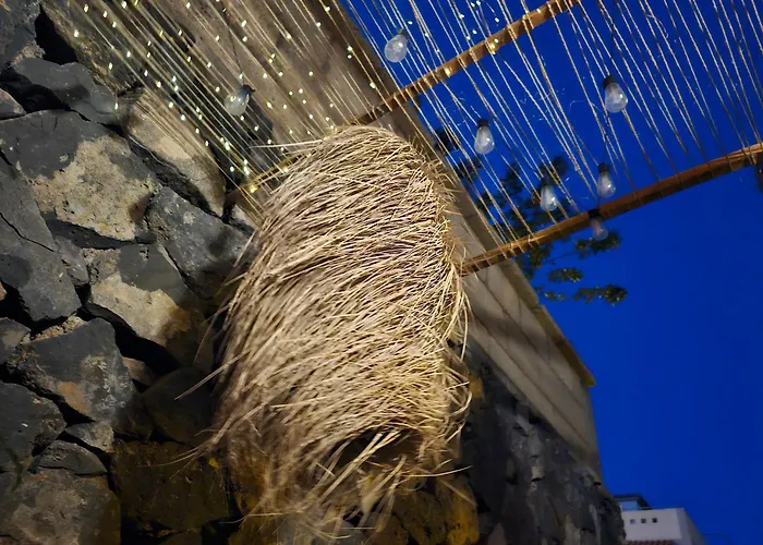 Paraiso Del Camello Parking Y Terrazs Privada San Miguel de Abona